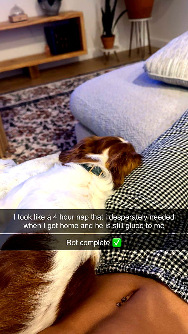 laurenj.fit image ~ Altpins