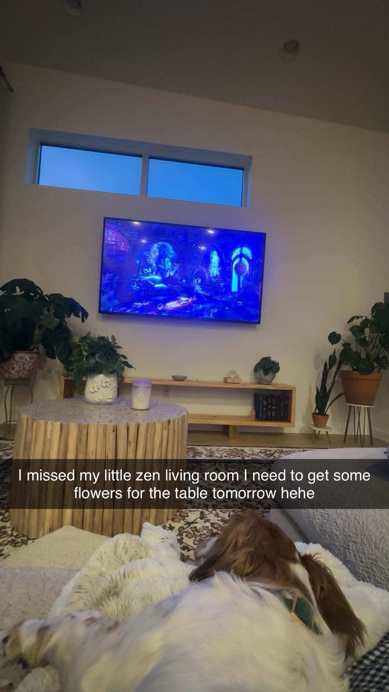 laurenj.fit snapchat image archive image