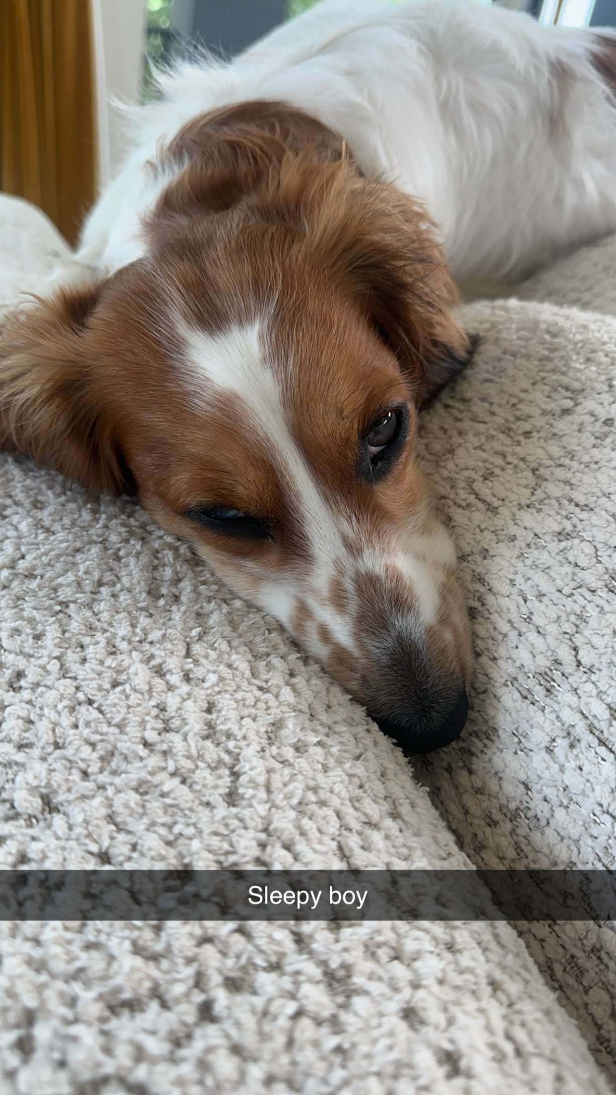 laurenj.fit snapchat image archive image