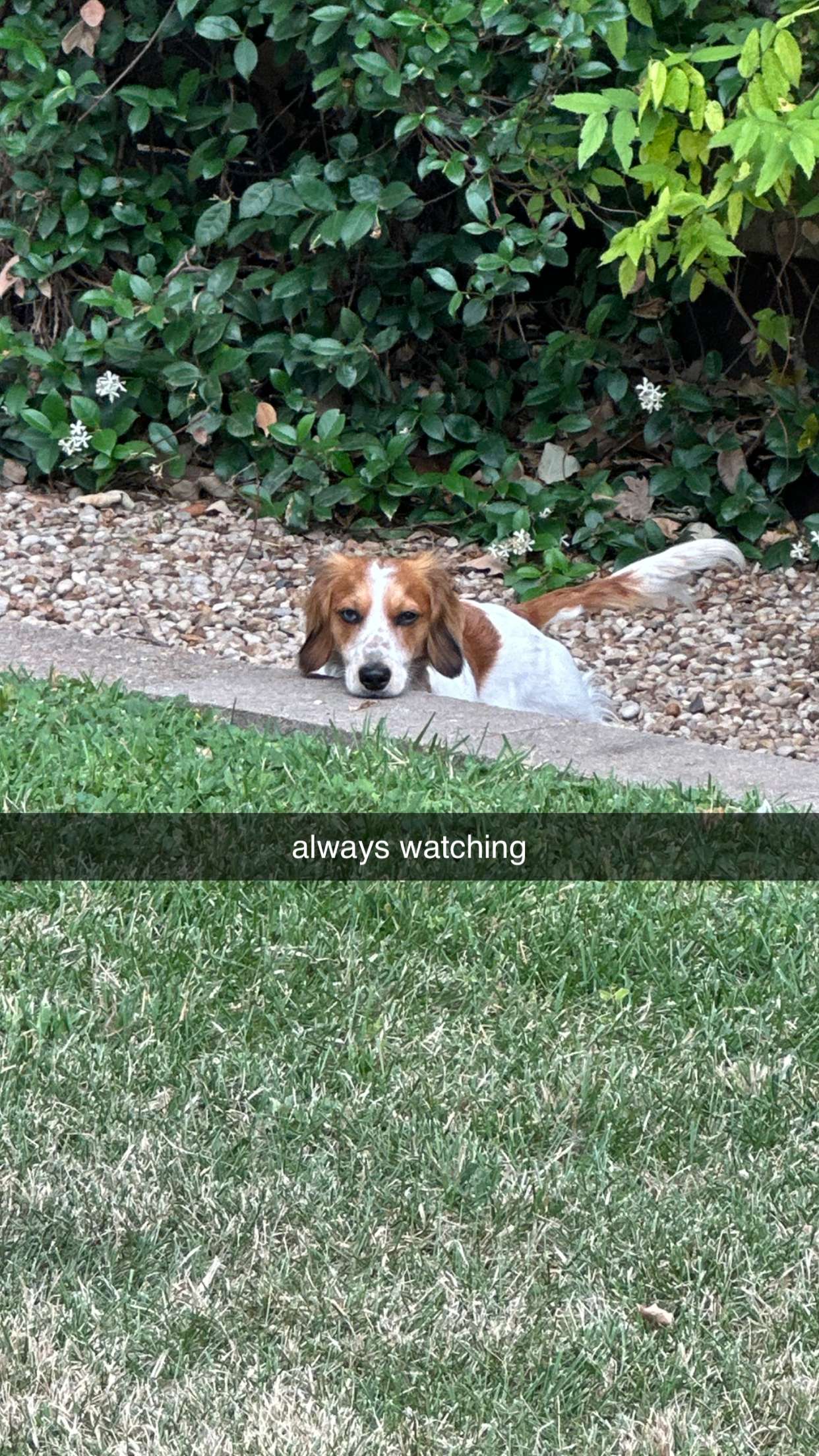 laurenj.fit snapchat image archive image