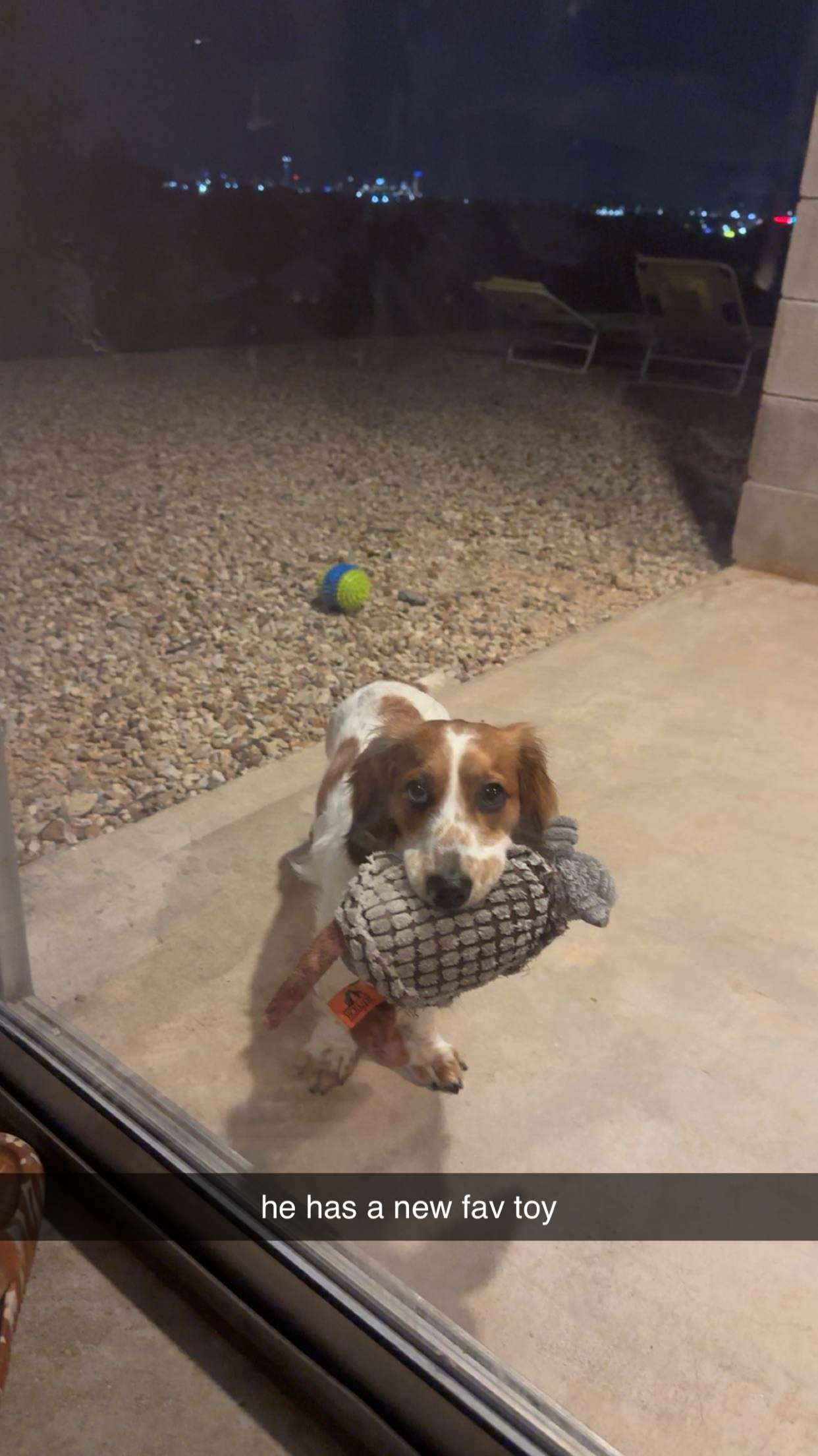 laurenj.fit snapchat image archive image