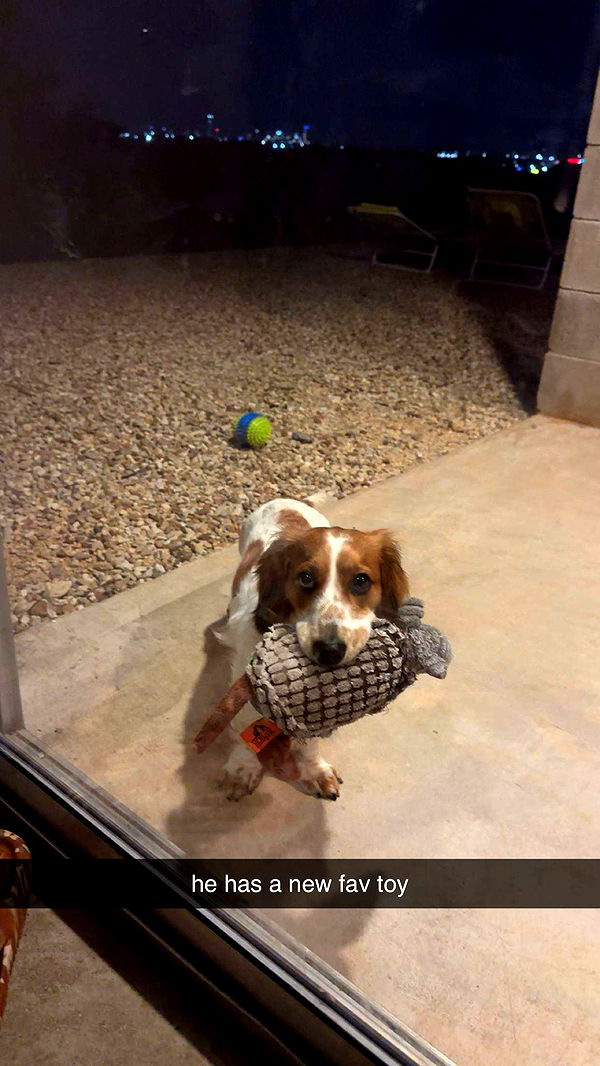 laurenj.fit image ~ Altpins