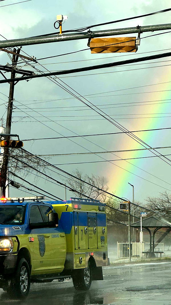 laurenj.fit image ~ Altpins