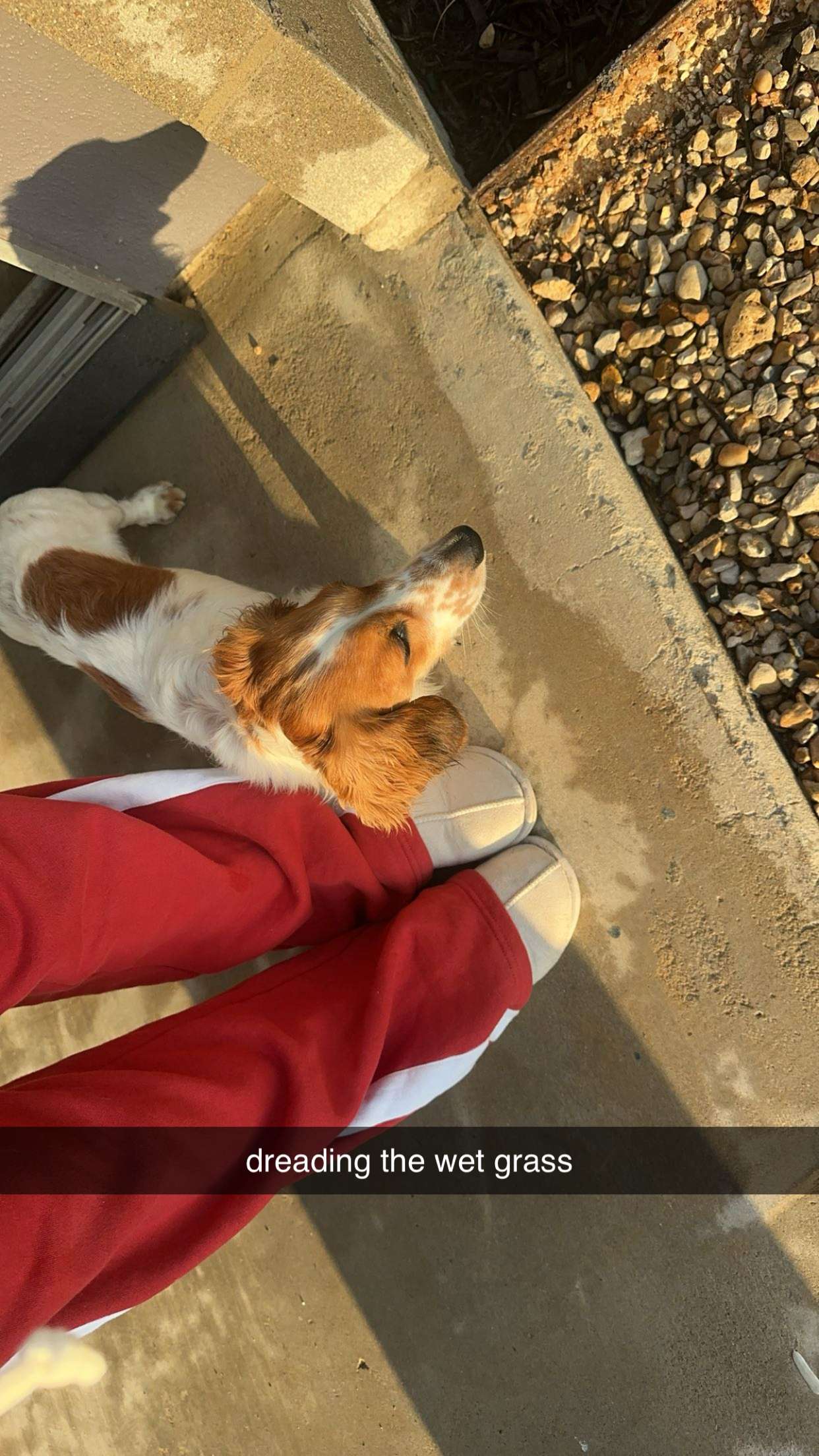 laurenj.fit snapchat image archive image