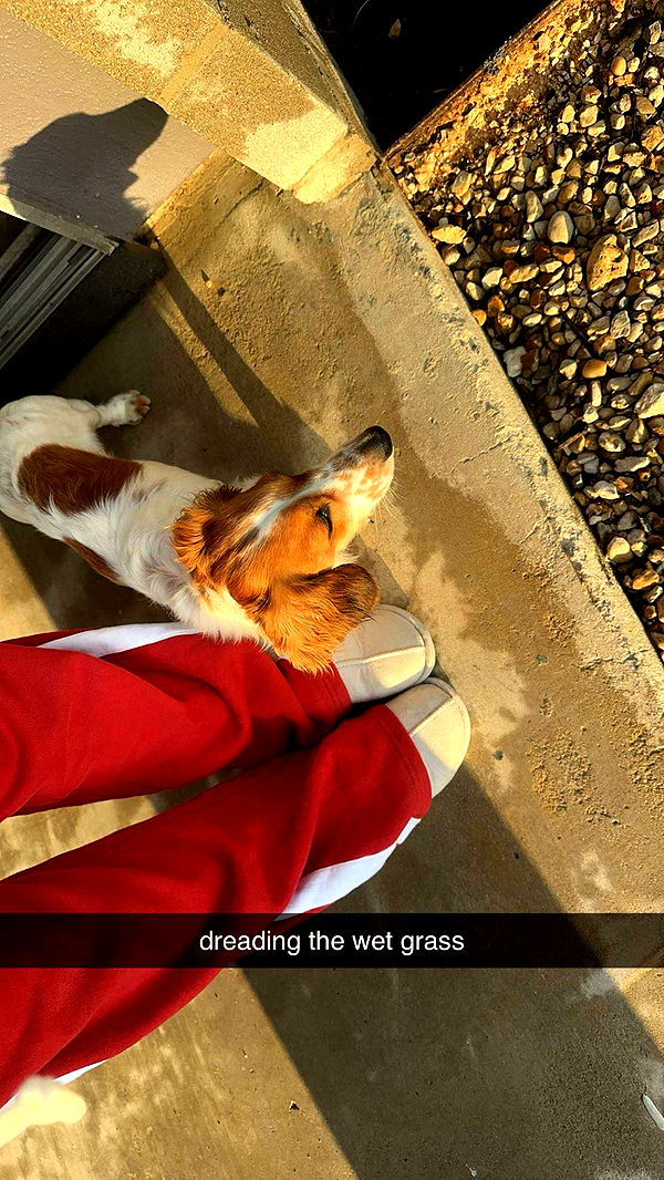 laurenj.fit image ~ Altpins