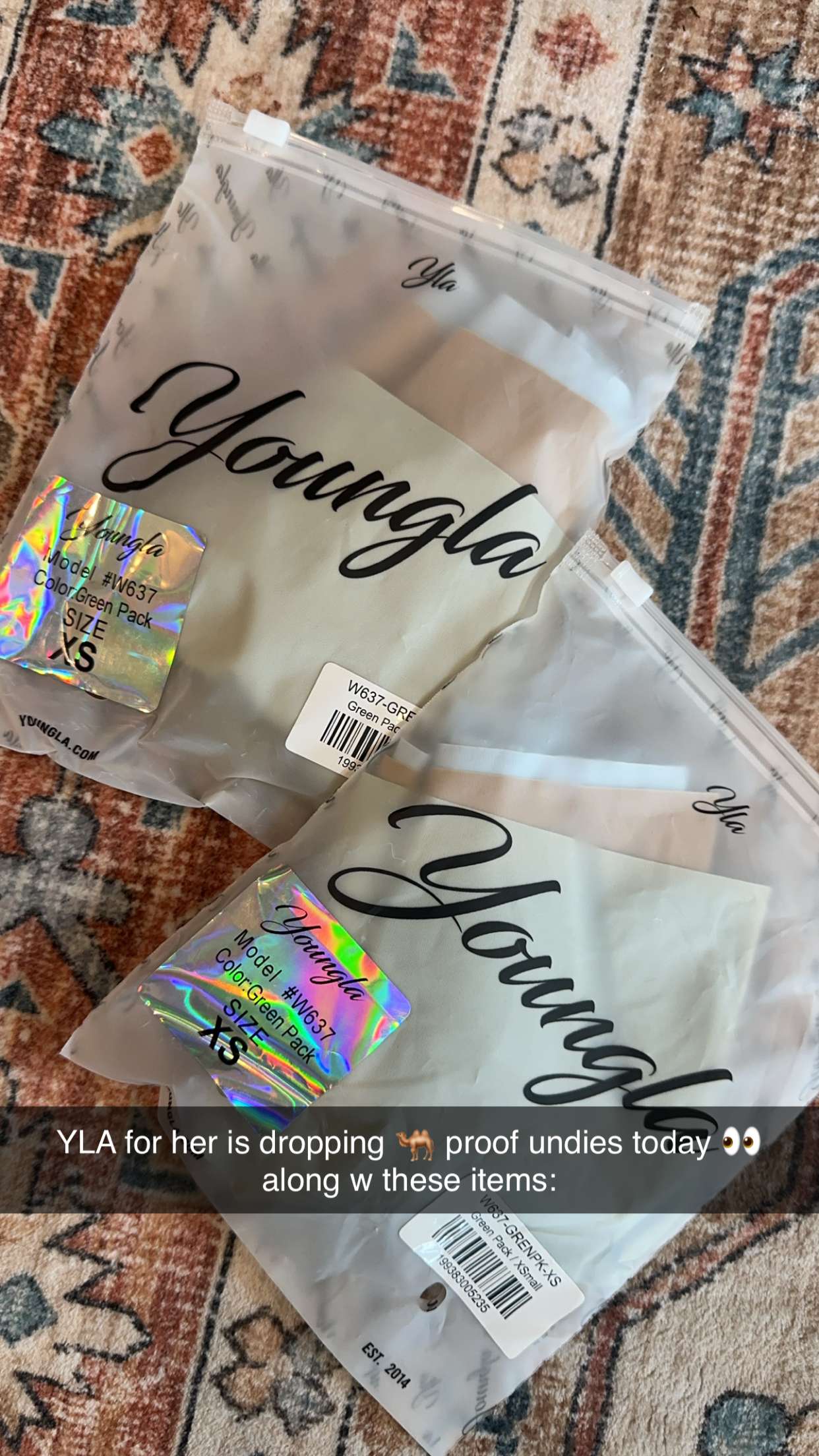 laurenj.fit snapchat image archive image