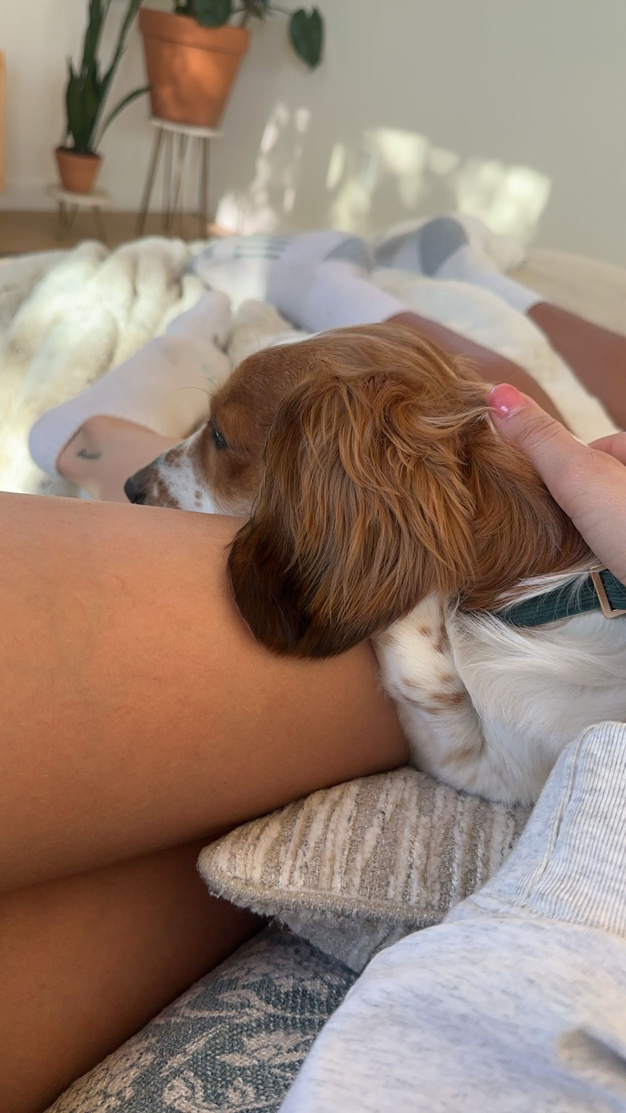 laurenj.fit snapchat image archive image