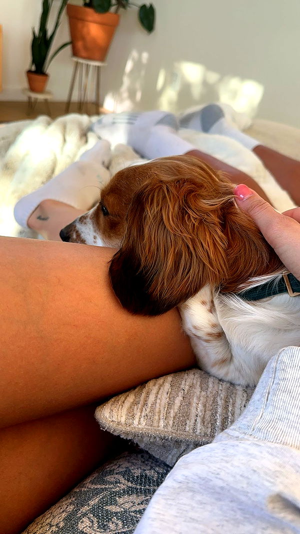 laurenj.fit image ~ Altpins