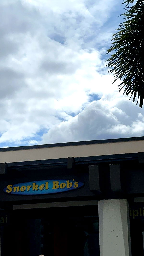 laurenj.fit image ~ Altpins