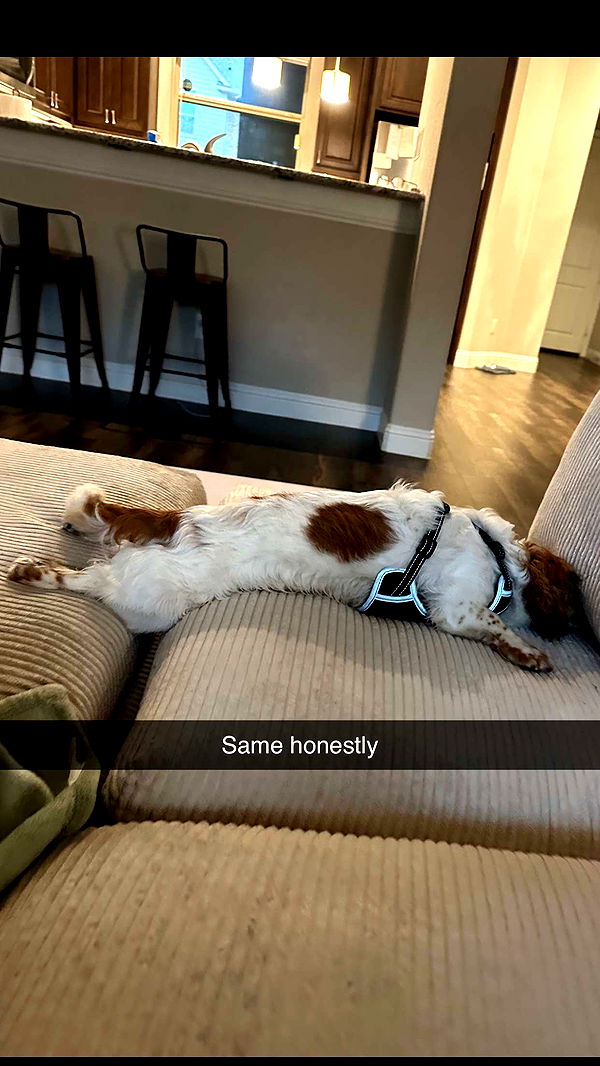 laurenj.fit image ~ Altpins