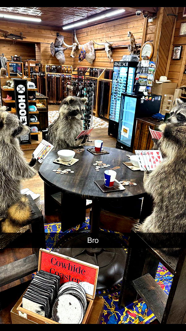 laurenj.fit image ~ Altpins