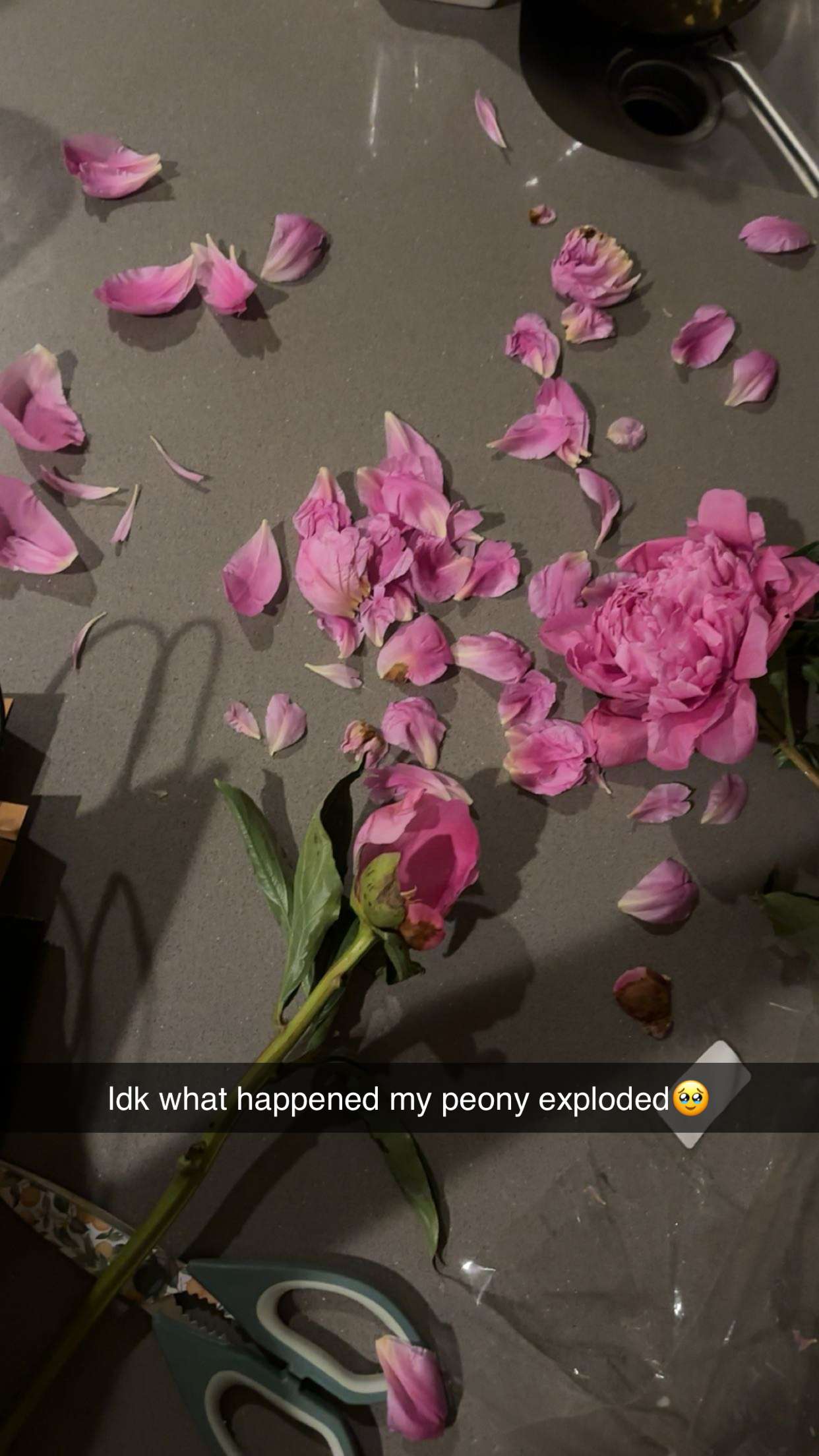 laurenj.fit snapchat image archive image