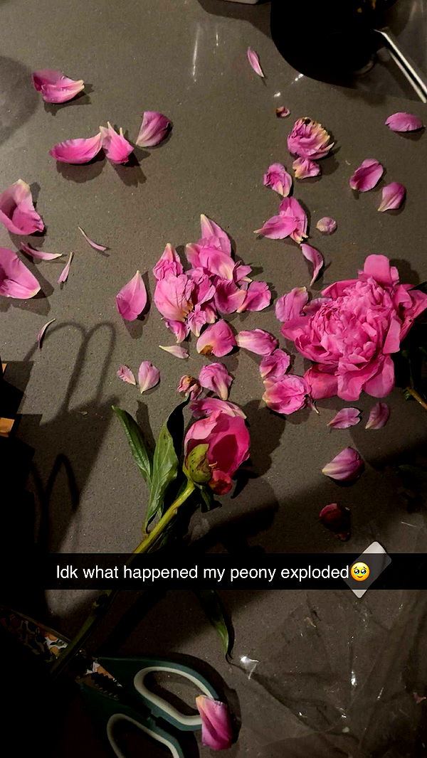 laurenj.fit image ~ Altpins