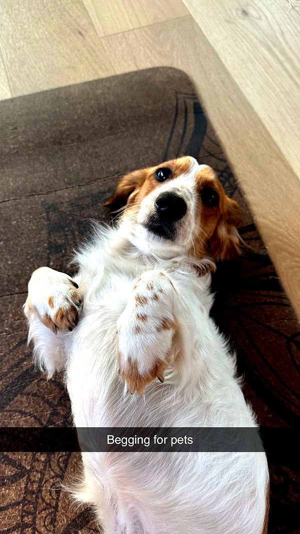 laurenj.fit image ~ Altpins