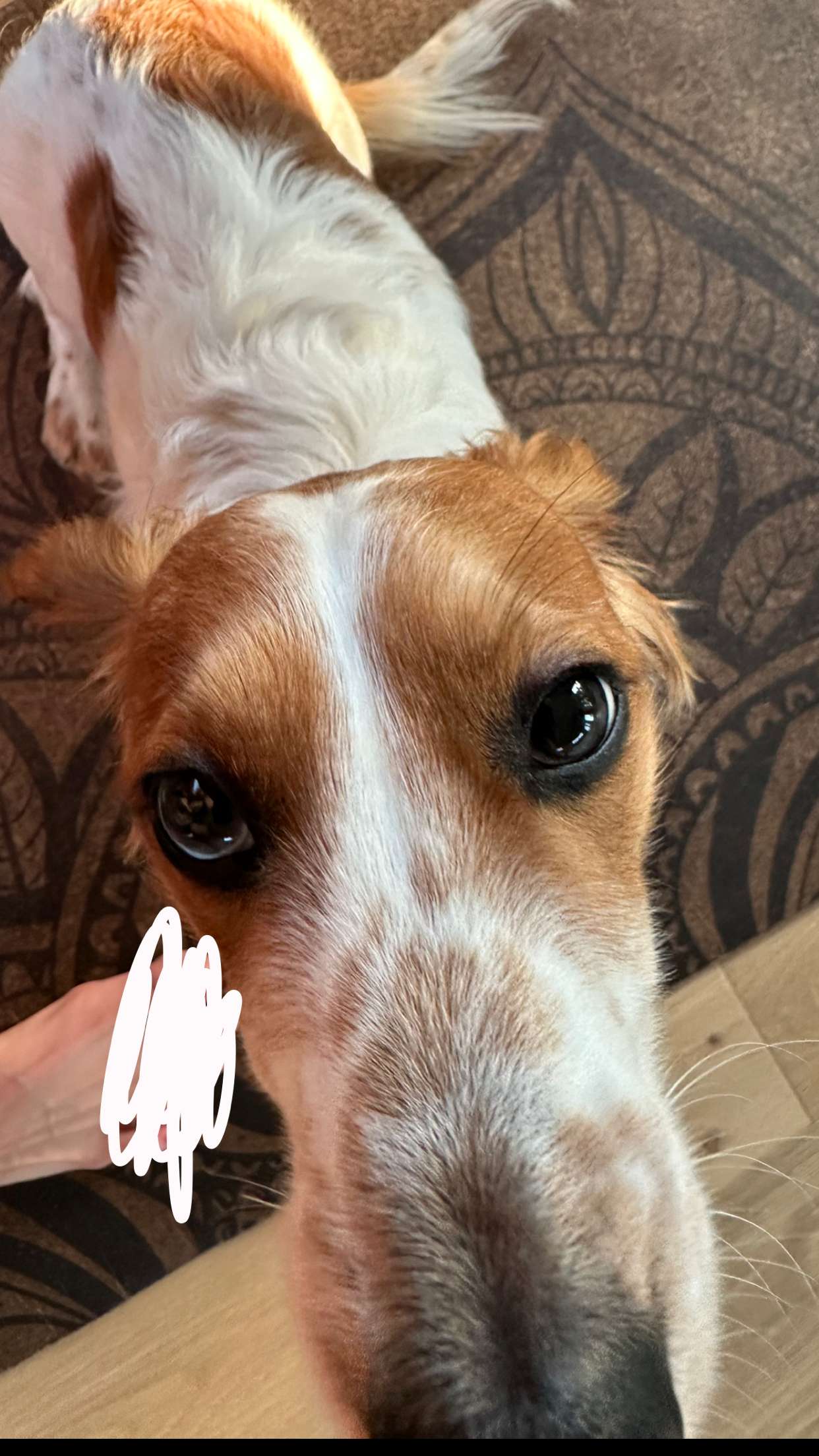 laurenj.fit snapchat image archive image