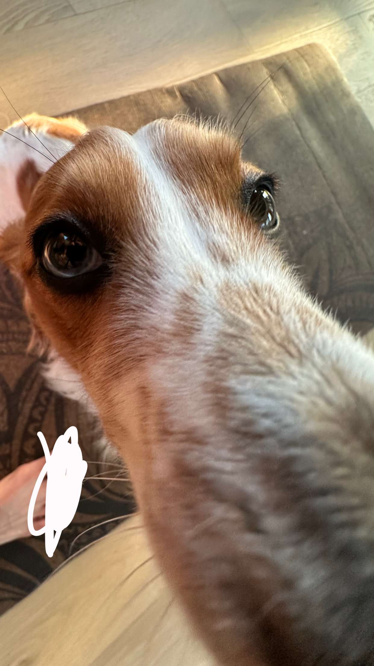 laurenj.fit snapchat image archive image