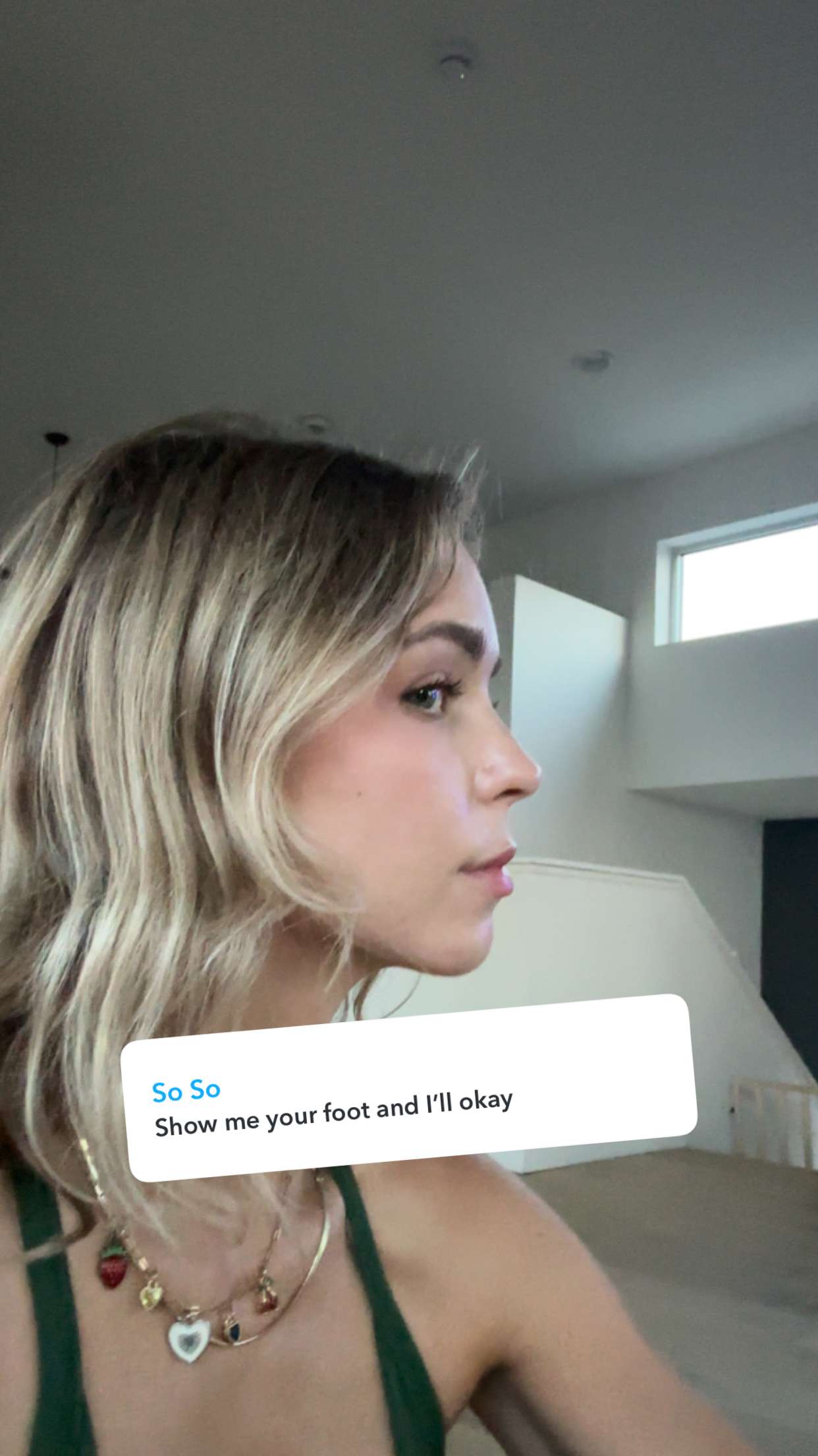 laurenj.fit snapchat image archive image