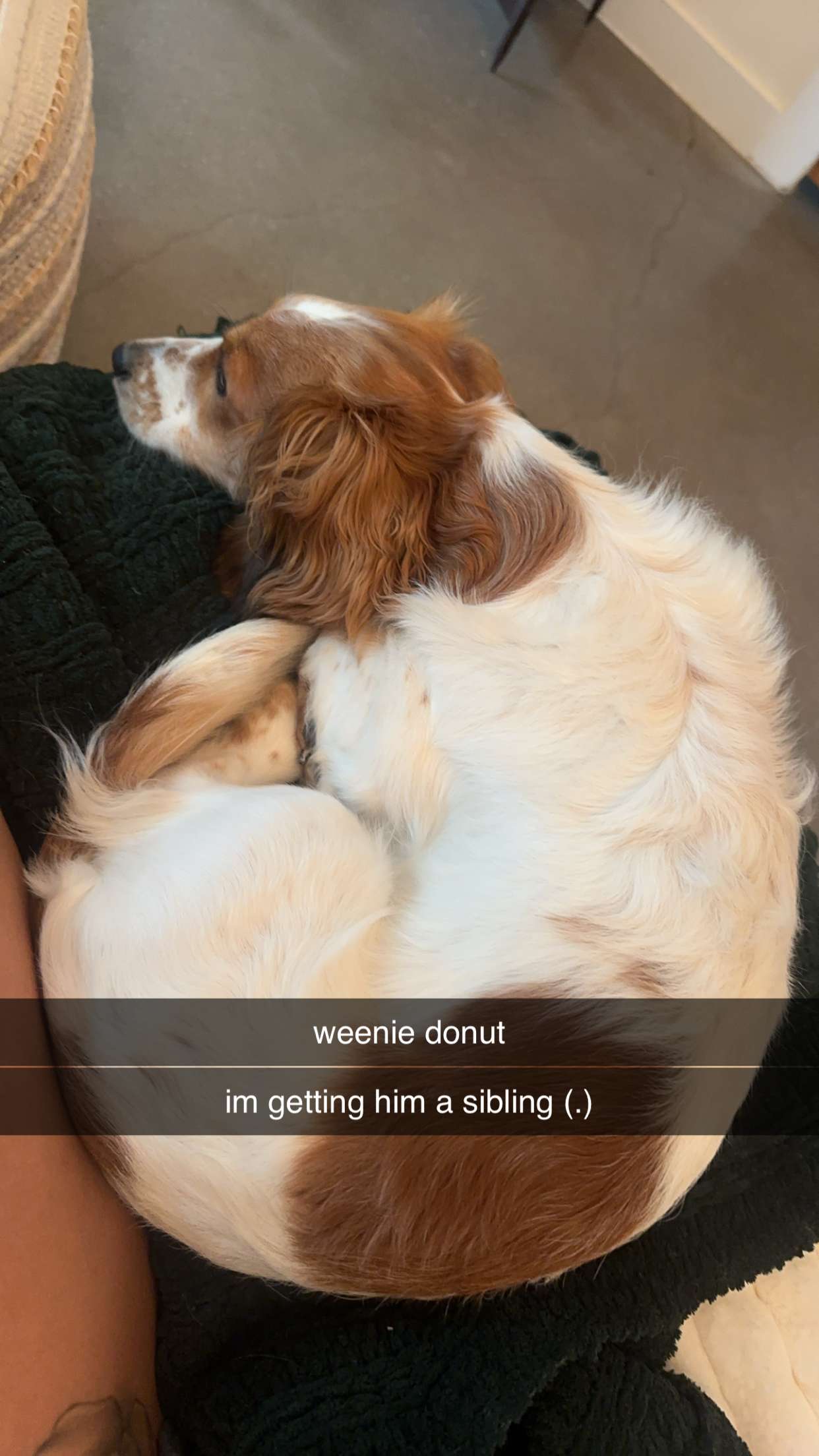 laurenj.fit snapchat image archive image