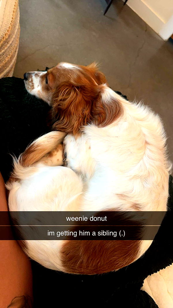 laurenj.fit image ~ Altpins