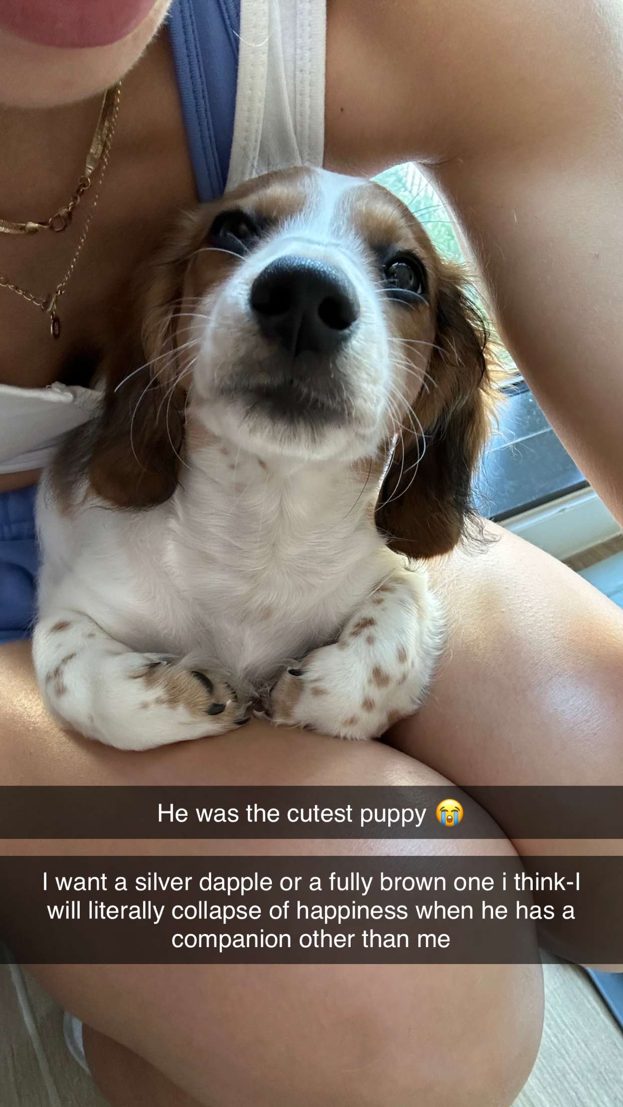 laurenj.fit snapchat image archive image