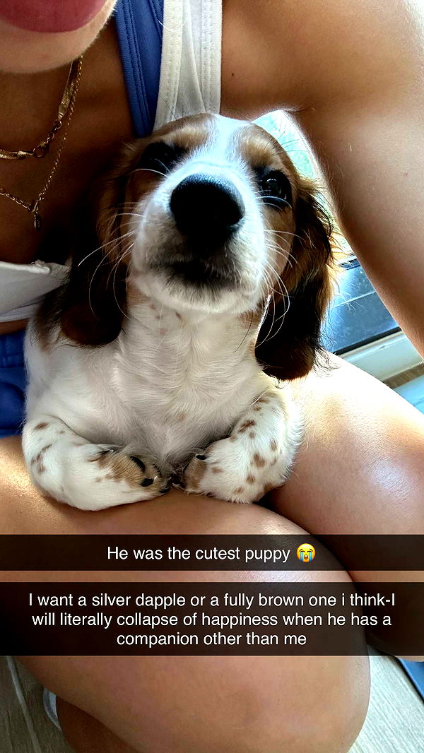 laurenj.fit image ~ Altpins