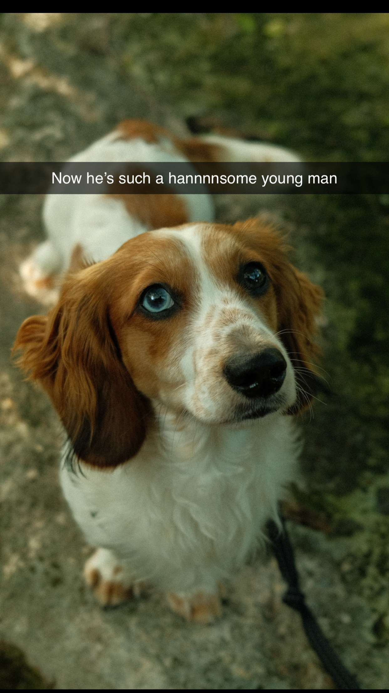 laurenj.fit snapchat image archive image