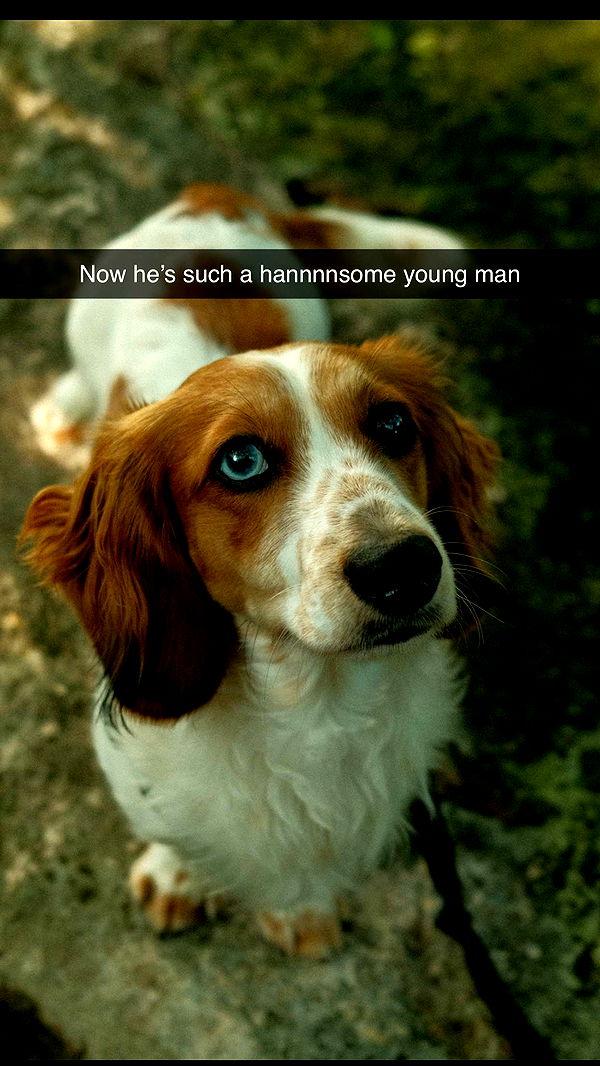 laurenj.fit image ~ Altpins