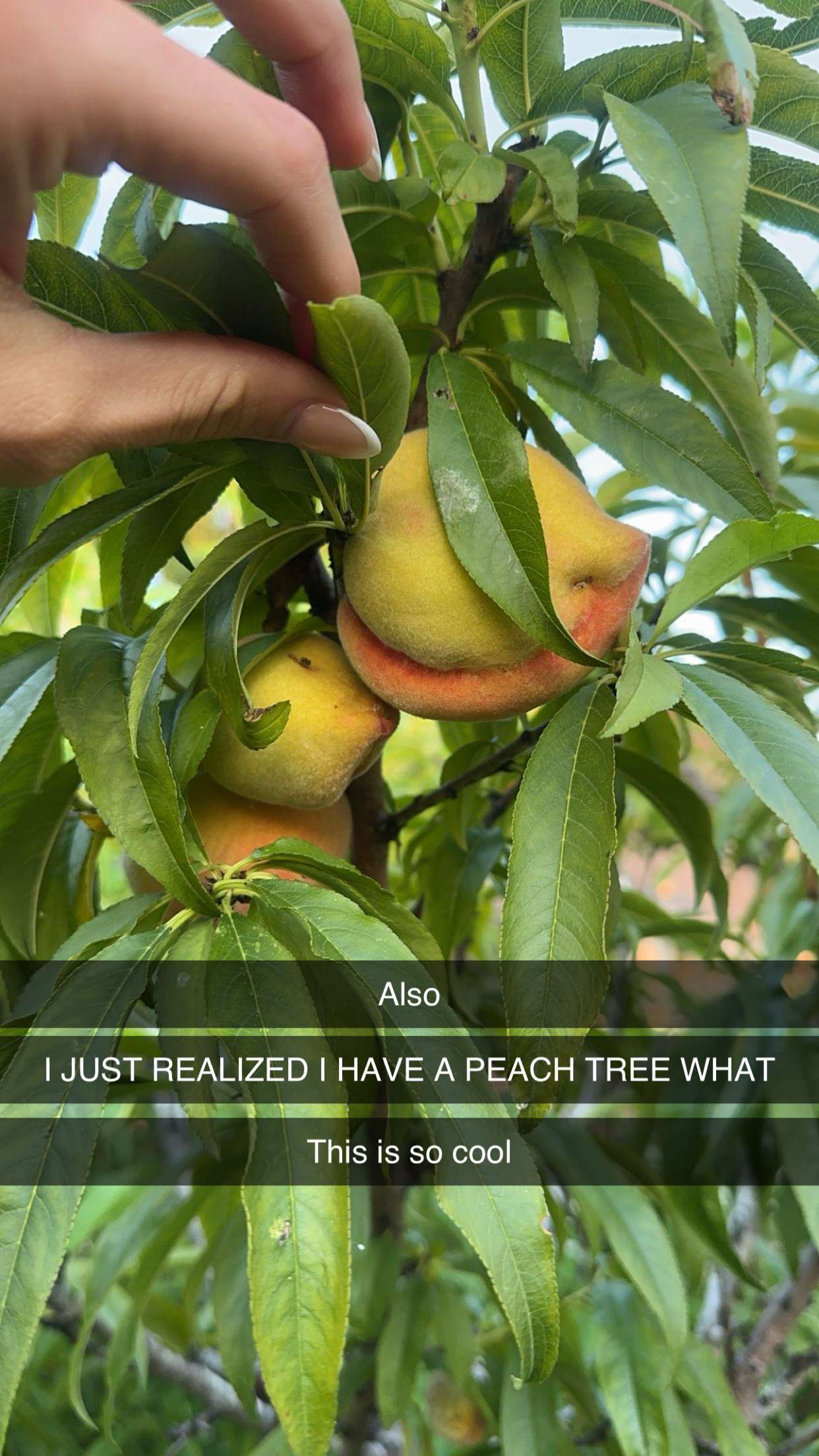 laurenj.fit snapchat image archive image