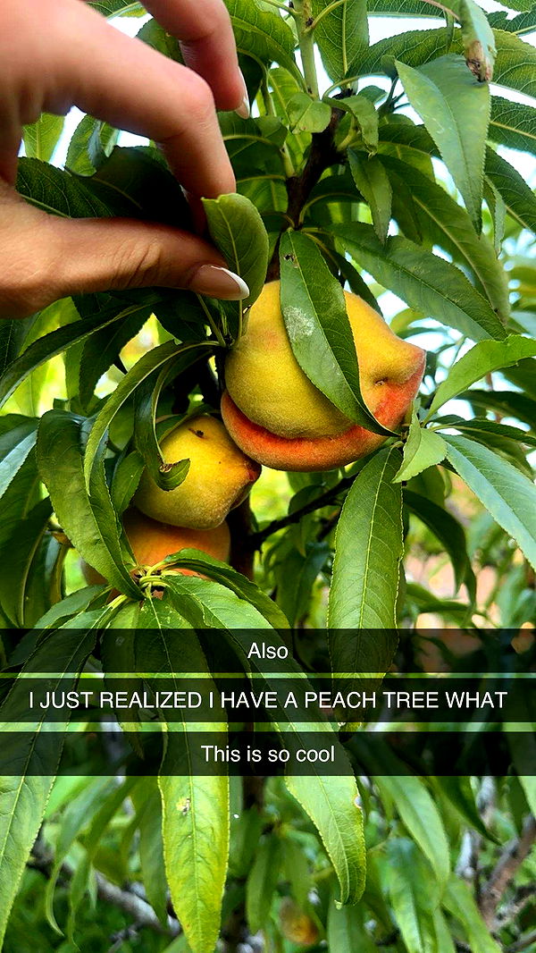 laurenj.fit image ~ Altpins