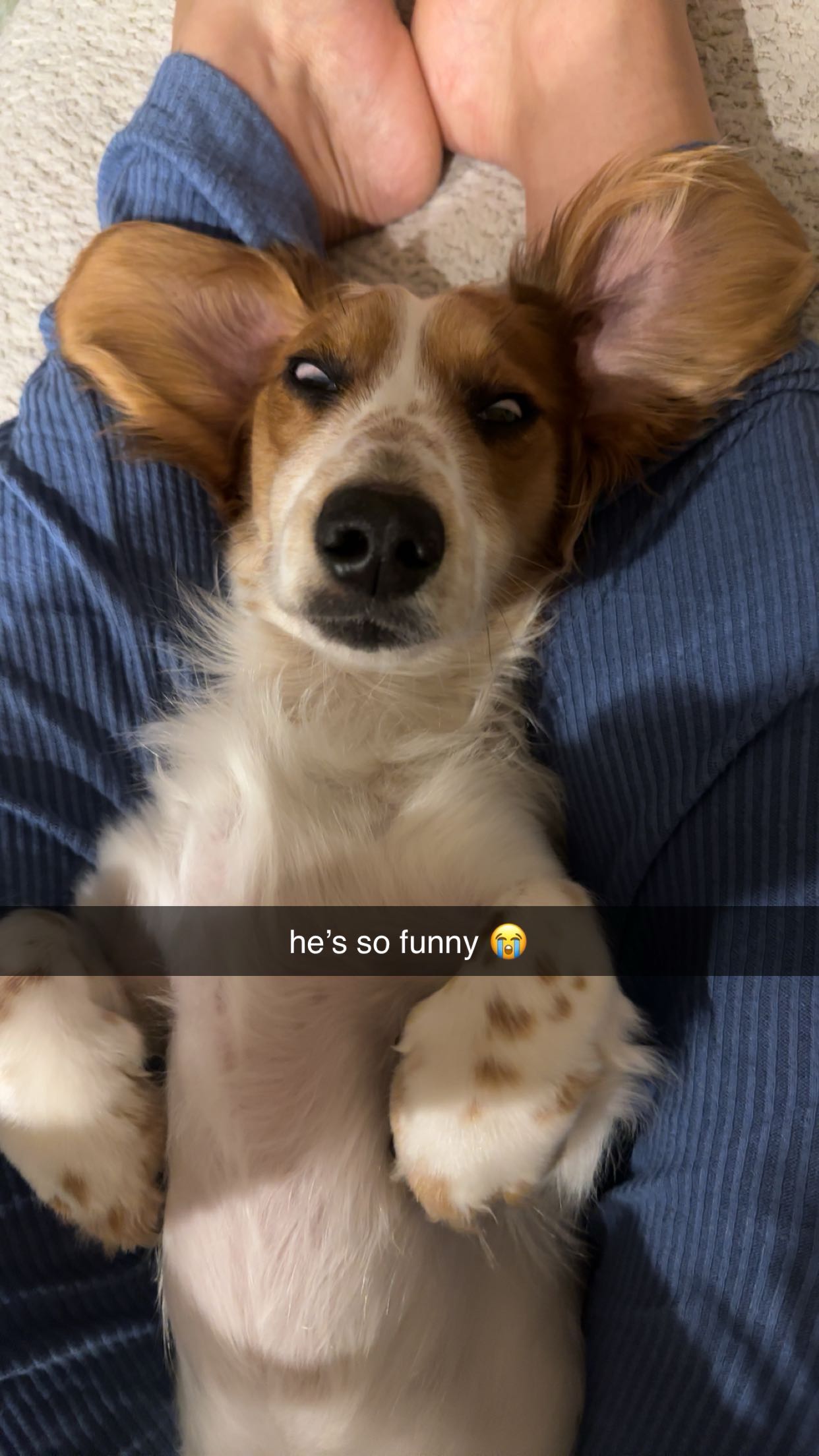 laurenj.fit snapchat image archive image