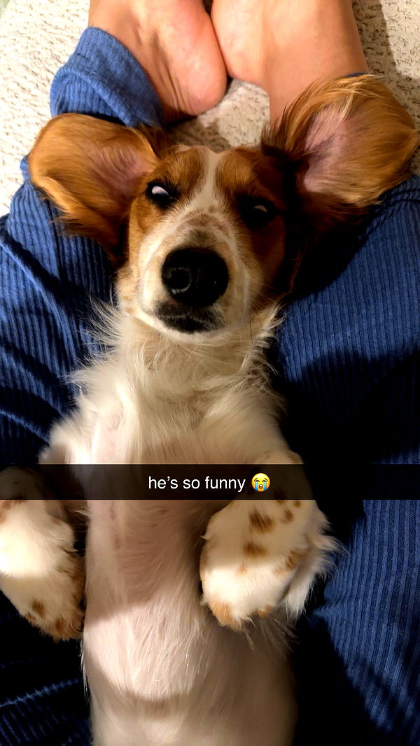 laurenj.fit image ~ Altpins