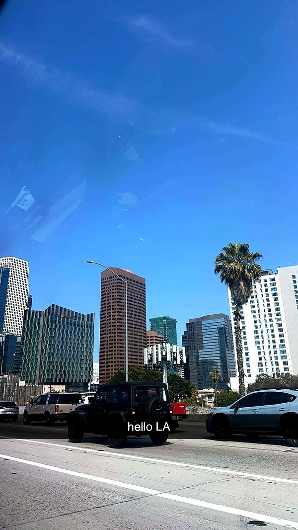 laurenj.fit image ~ Altpins