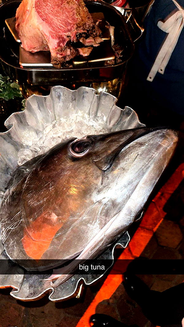 laurenj.fit image ~ Altpins