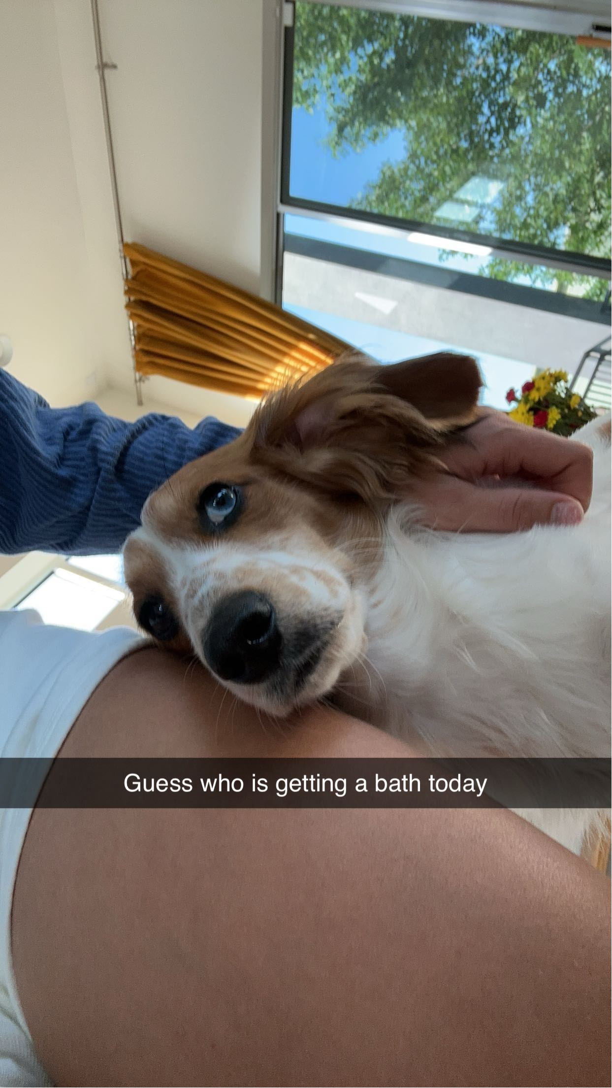 laurenj.fit snapchat image archive image