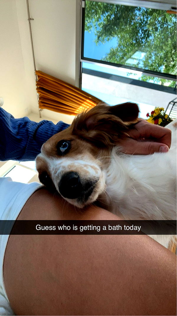 laurenj.fit image ~ Altpins