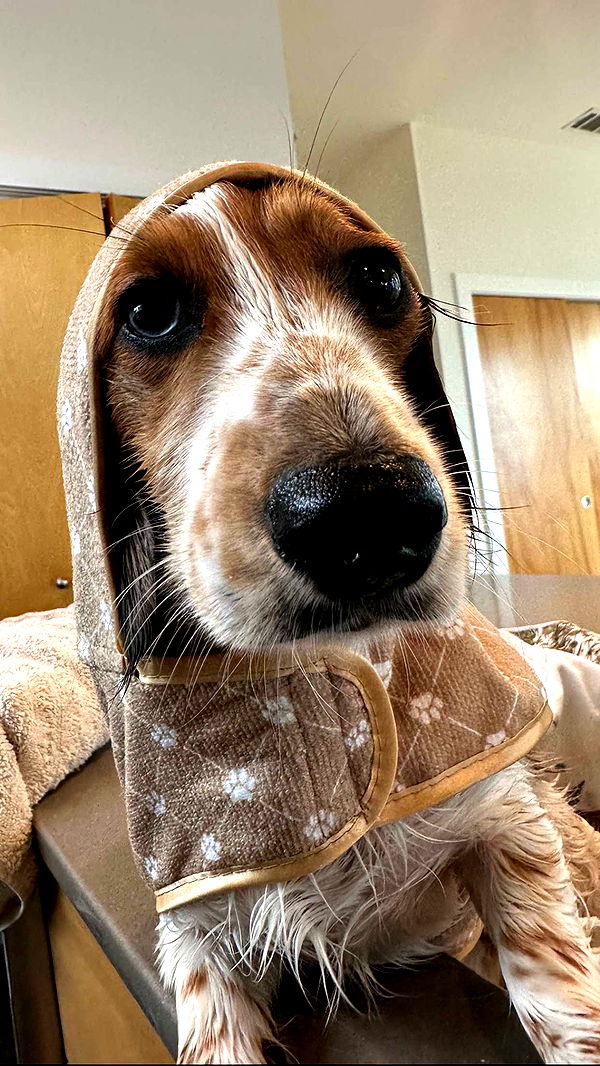 laurenj.fit image ~ Altpins