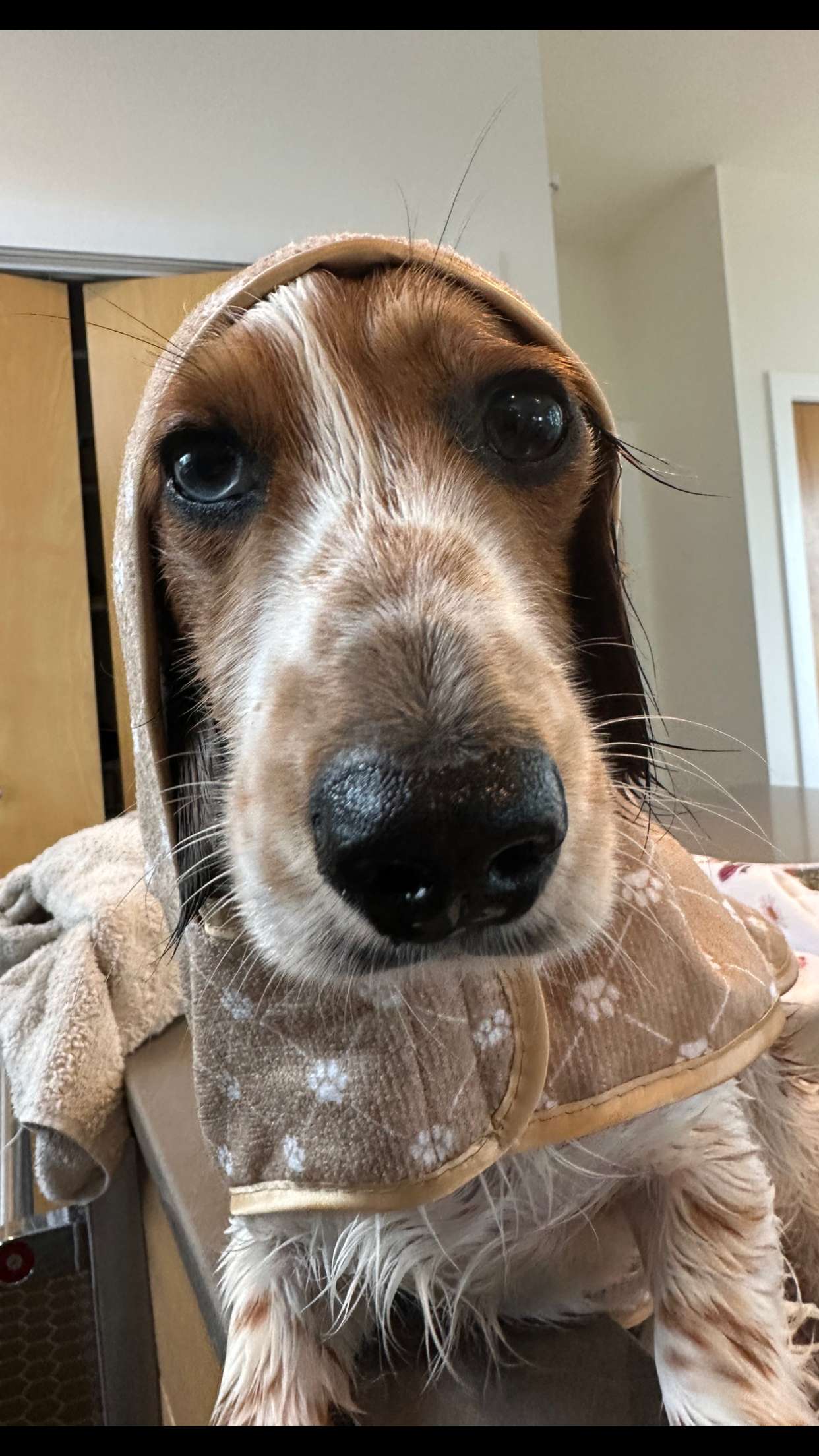 laurenj.fit snapchat image archive image