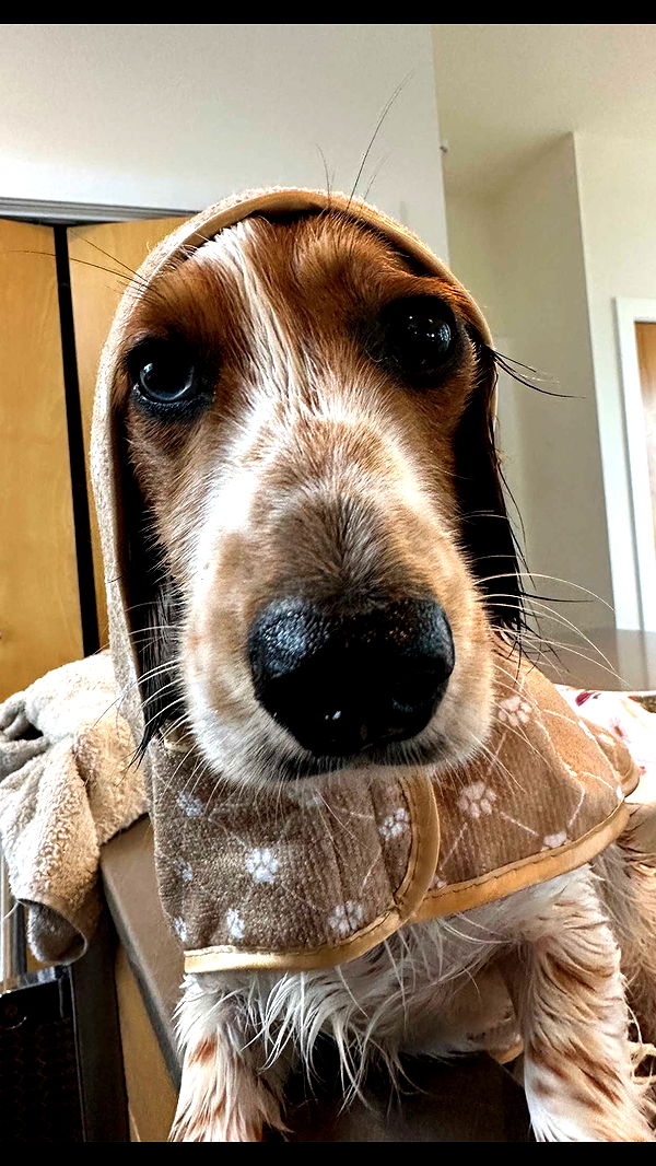 laurenj.fit image ~ Altpins