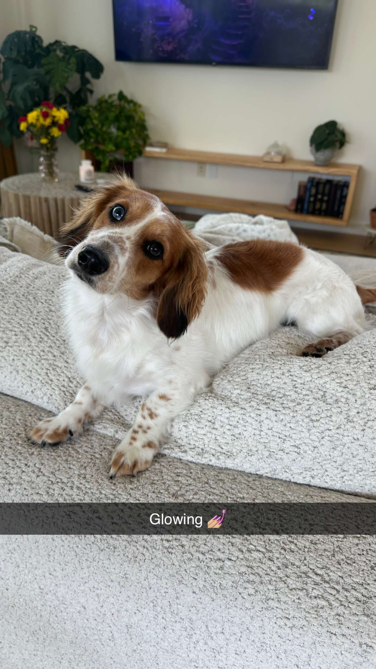 laurenj.fit snapchat image archive image