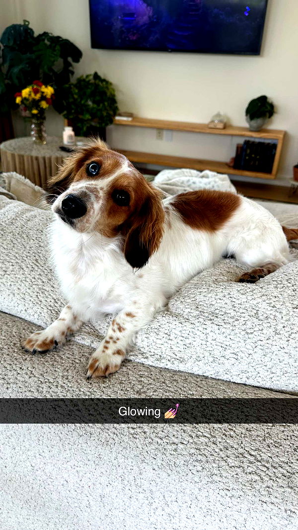 laurenj.fit image ~ Altpins