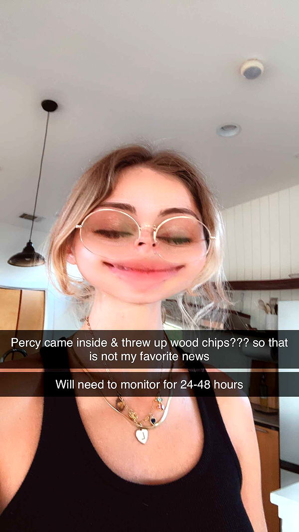 laurenj.fit image ~ Altpins