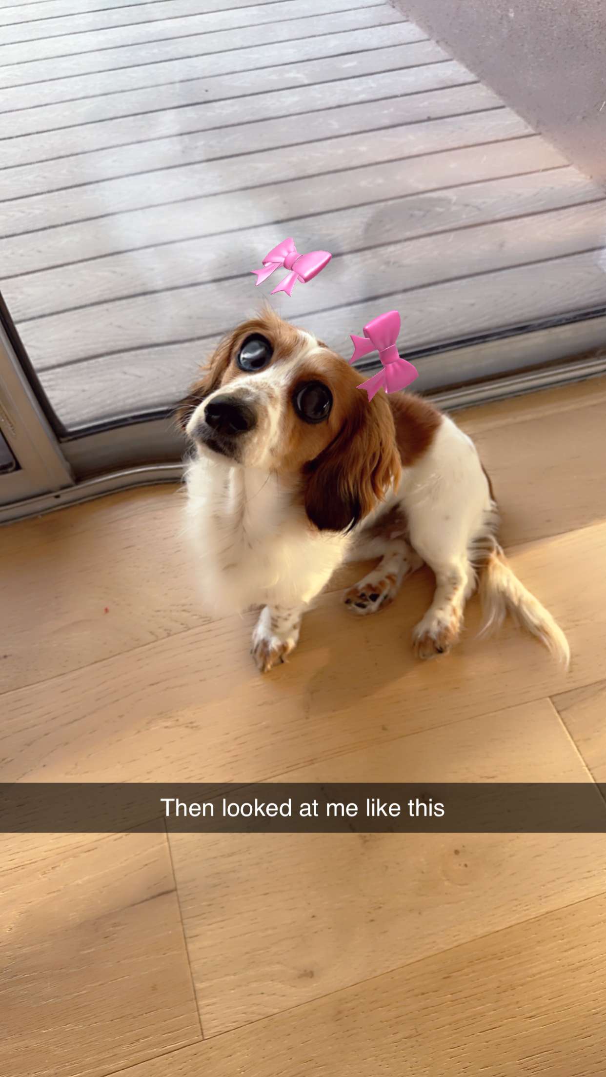 laurenj.fit snapchat image archive image