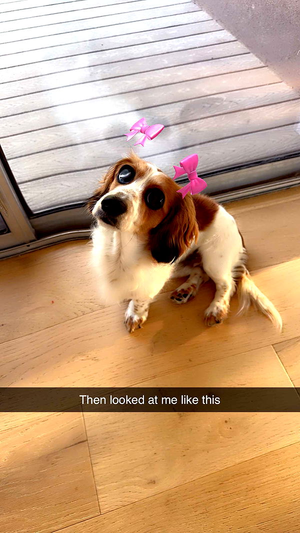 laurenj.fit image ~ Altpins