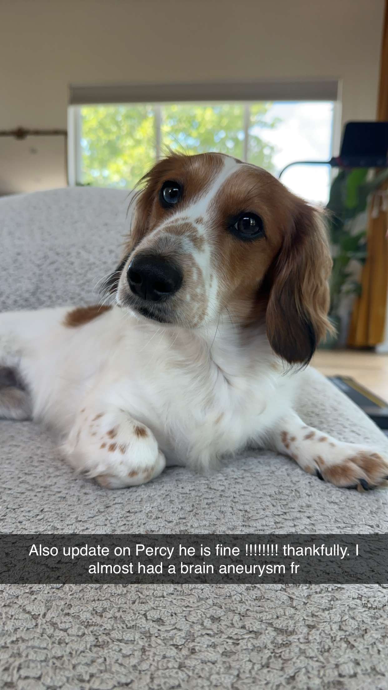 laurenj.fit snapchat image archive image