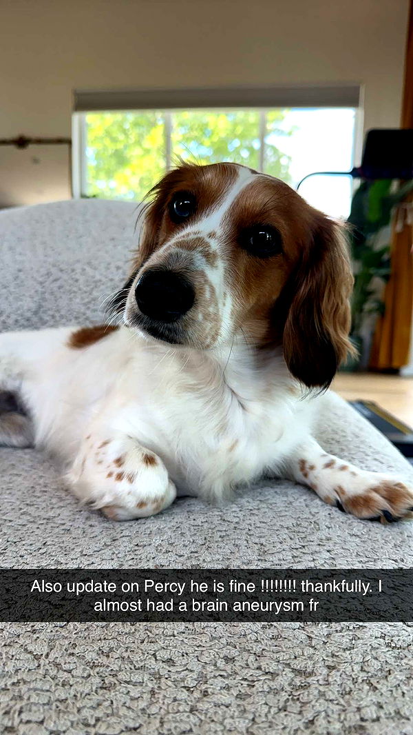 laurenj.fit image ~ Altpins