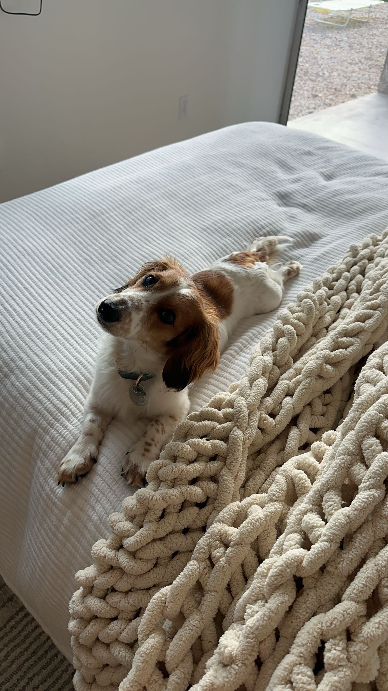 laurenj.fit snapchat image archive image