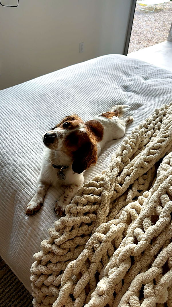 laurenj.fit image ~ Altpins