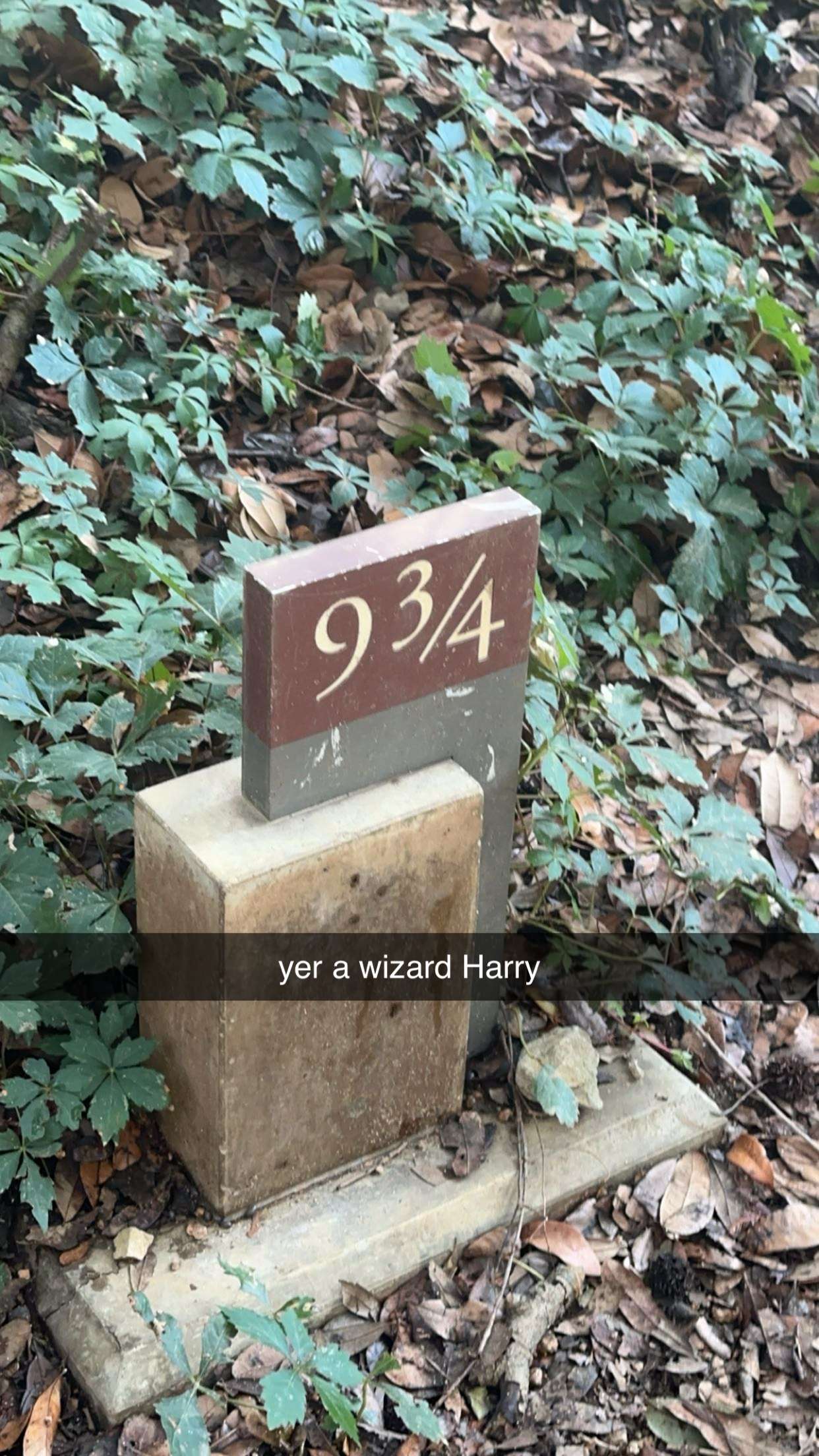 laurenj.fit snapchat image archive image