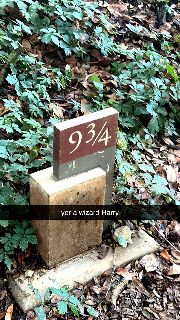 laurenj.fit image ~ Altpins