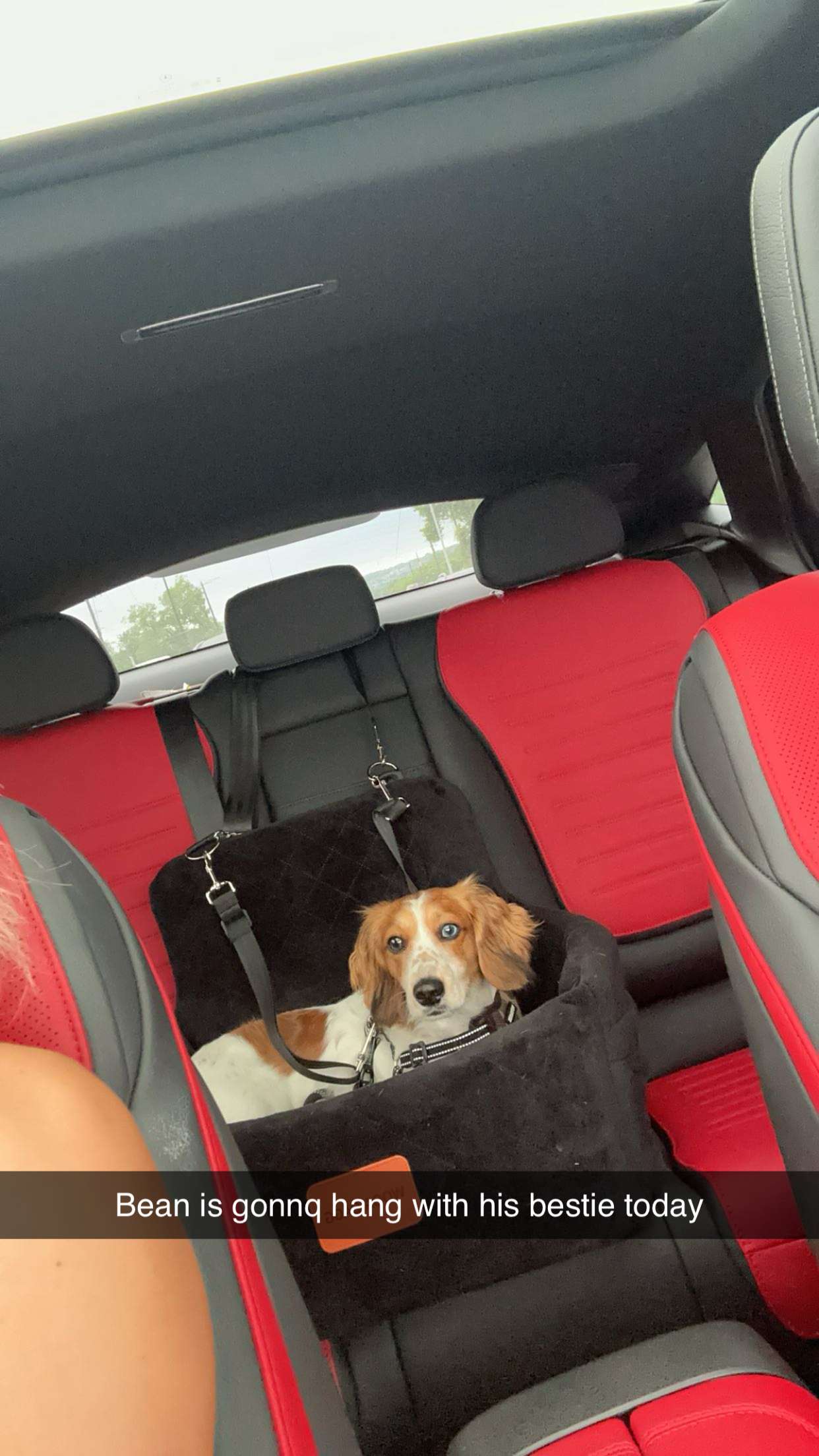 laurenj.fit snapchat image archive image